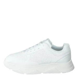 73-43088 White