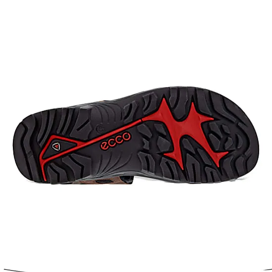 Ecco Men's Offroad Yucatan Sandal - Morel Moon Rock