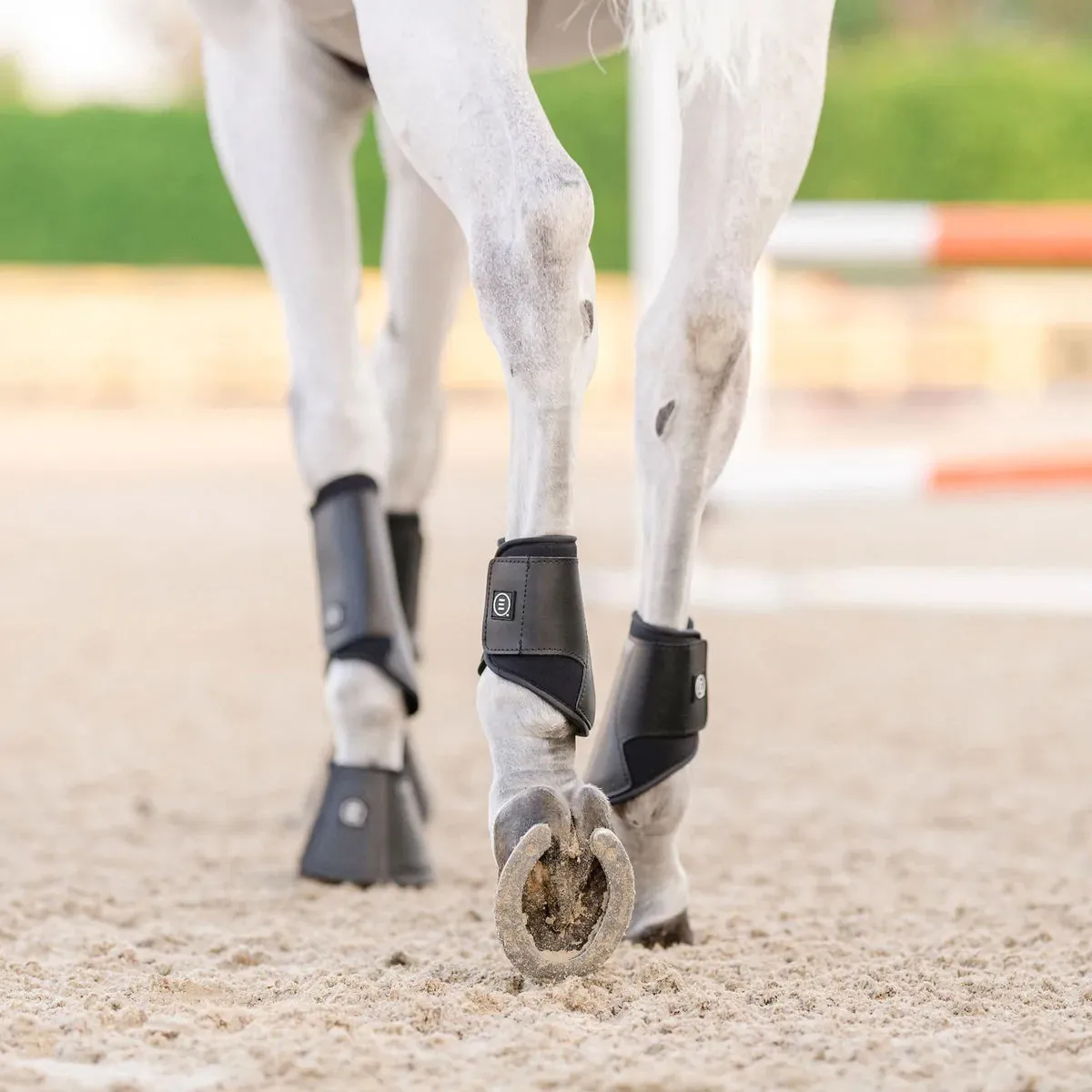 EquiFit Essential Everyday Hind Boot
