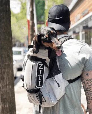 K9 Sport Sack Bag AIR 2