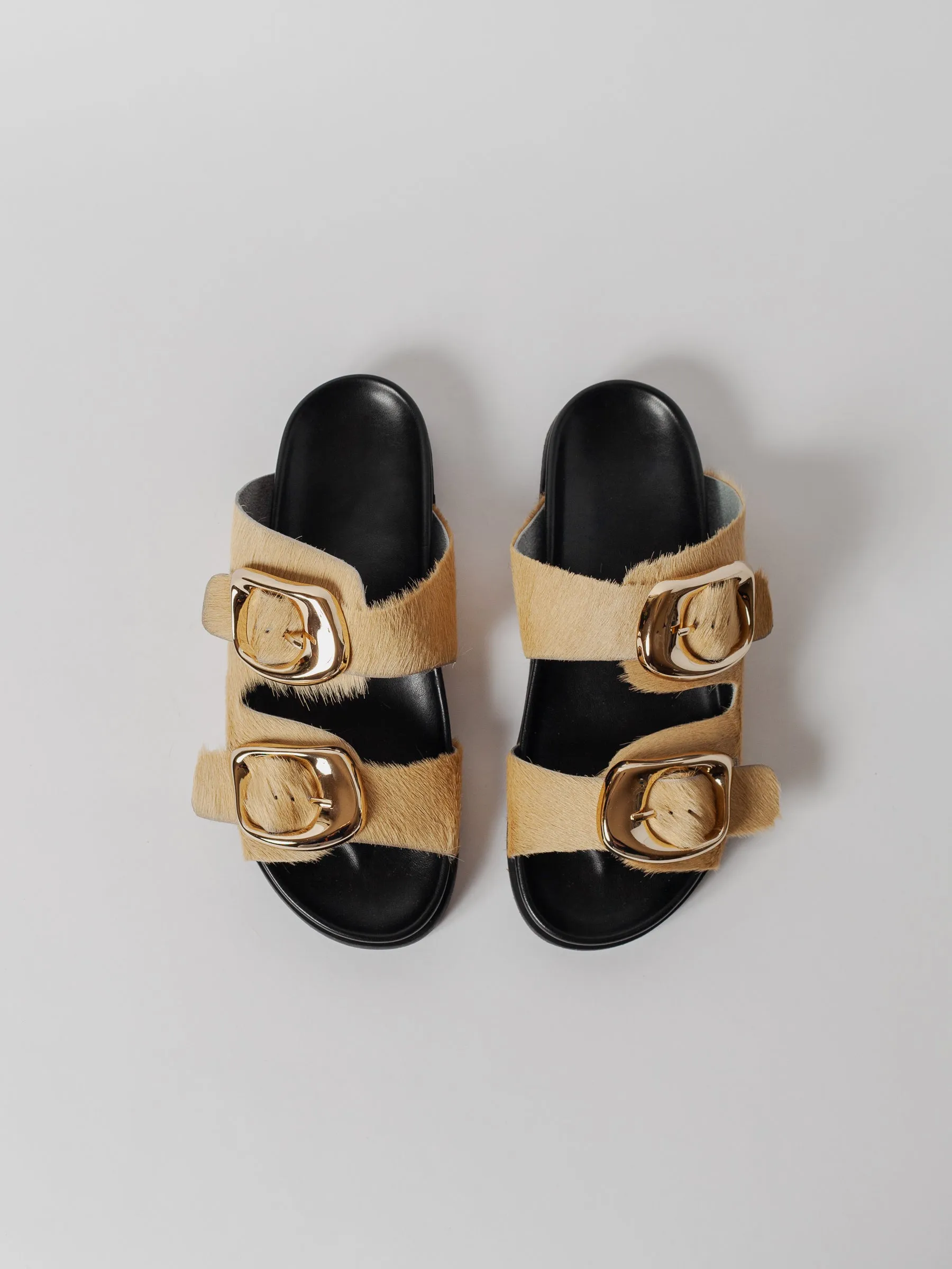 THE PERNILLE CREAM GOLD BUCKLE